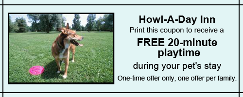 Free 20-Minute Playtime During Your Pet's Stay