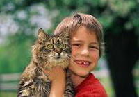 A Smiling Boy Taking Picture with Cat